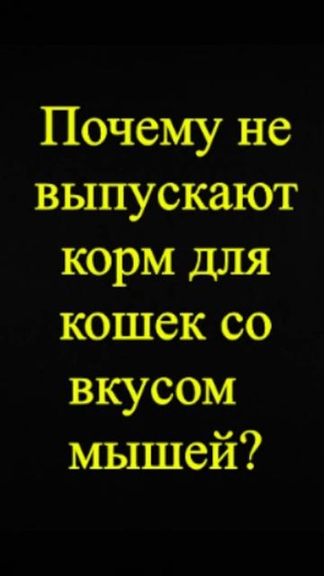 Мозгоправ самоубился. Книга первая. Вопрос 23