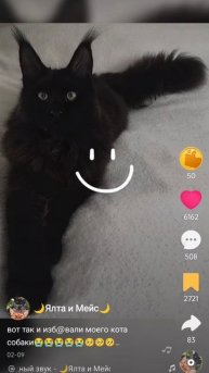 😭😭😭😭😭😭😭💔💔