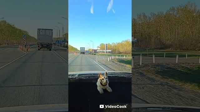 поездка