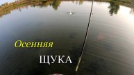 Осенняя рыбалка на щуку. Щука на спиннинг