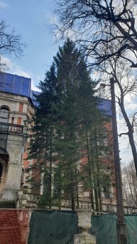 Усадьба Быково – архитектурное чудо в Подмосковье!