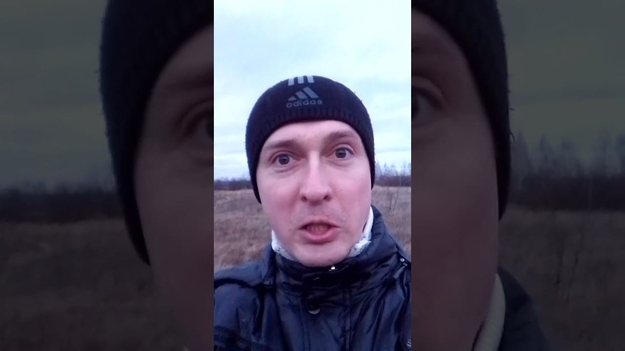 Аванс и печень