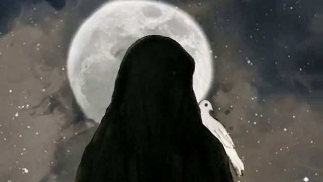 ناشيد الجميلة ❤️