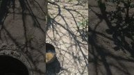 радиоктивная жижа