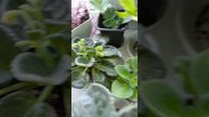 1000014940.mp4