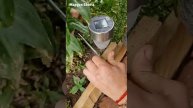 С ЭТИМ У ТЕБЯ БУДЕТ САМЫЙ БОГАТЫЙ УРОЖАЙ