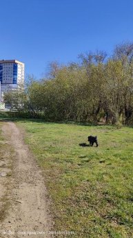 Снос дома в районе 3 Енисейская 19 в Омске на 1 мая