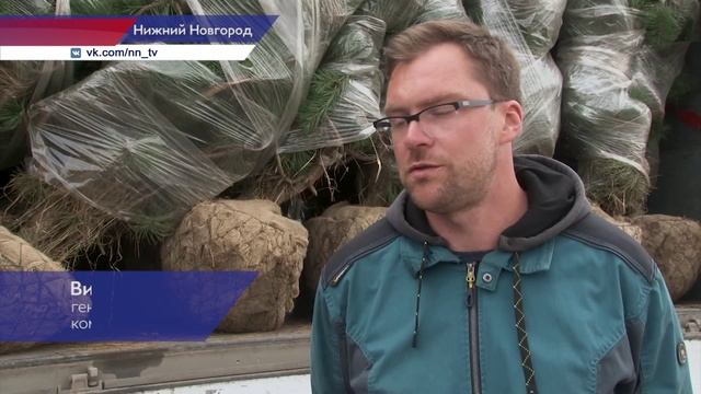 Почти полторы тысячи деревьев и кустарников начали высаживать на Гребном канале