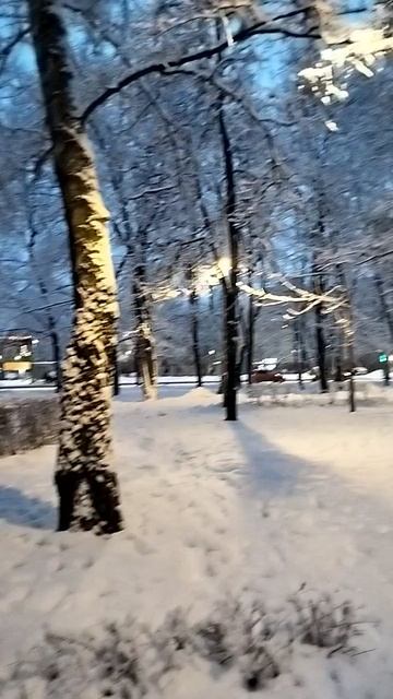 погода в Москве 
#декабрь #2024 #31декабря