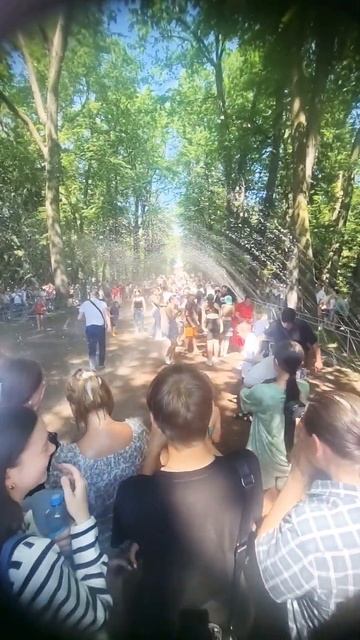#санктпетербург #петергоф #фонтаны #метеор #путешествия #пешкомпогороду #парк #красотавокругнас