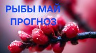 РЫБЫ. ТАРО ПРОГНОЗ НА МАЙ