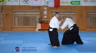 14 Aikido Gyaku Hanmi Ikkyo Ura Shishiya Sensei Pilsen 2023