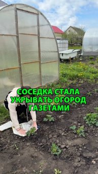 Зачем соседка стала укрывать огород газетами