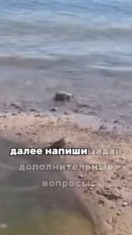 Как перестать беспокоиться и начать жить с ИИ?