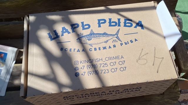 Как живём  в посёлке Массандра,Республика Крым ⛰️🌊🌴🐈🐔