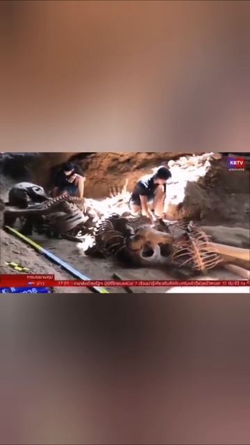 Дракон и великаны, правда как есть #дракон #великан #раскопки