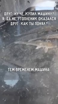 Клип @mem1001