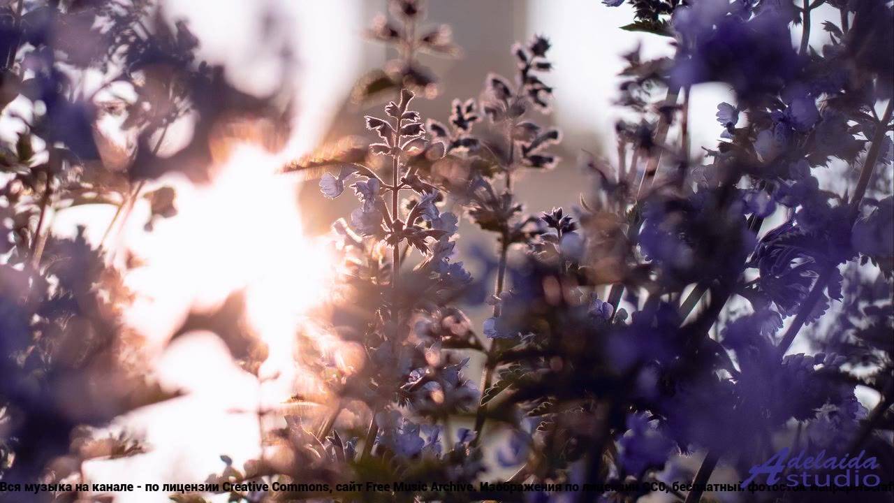 ☞ ❤ ♫ Песня, которая заставляет задуматься - Finally wet rain -- William Frederick Davidson -- Unnam