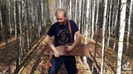 Гусли А не спеть ли мне песню