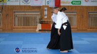 6 Aikido Shomen Uchi Shihonage, Iriminage & Kotegaeshi Shishiya Sensei Pilsen 2023