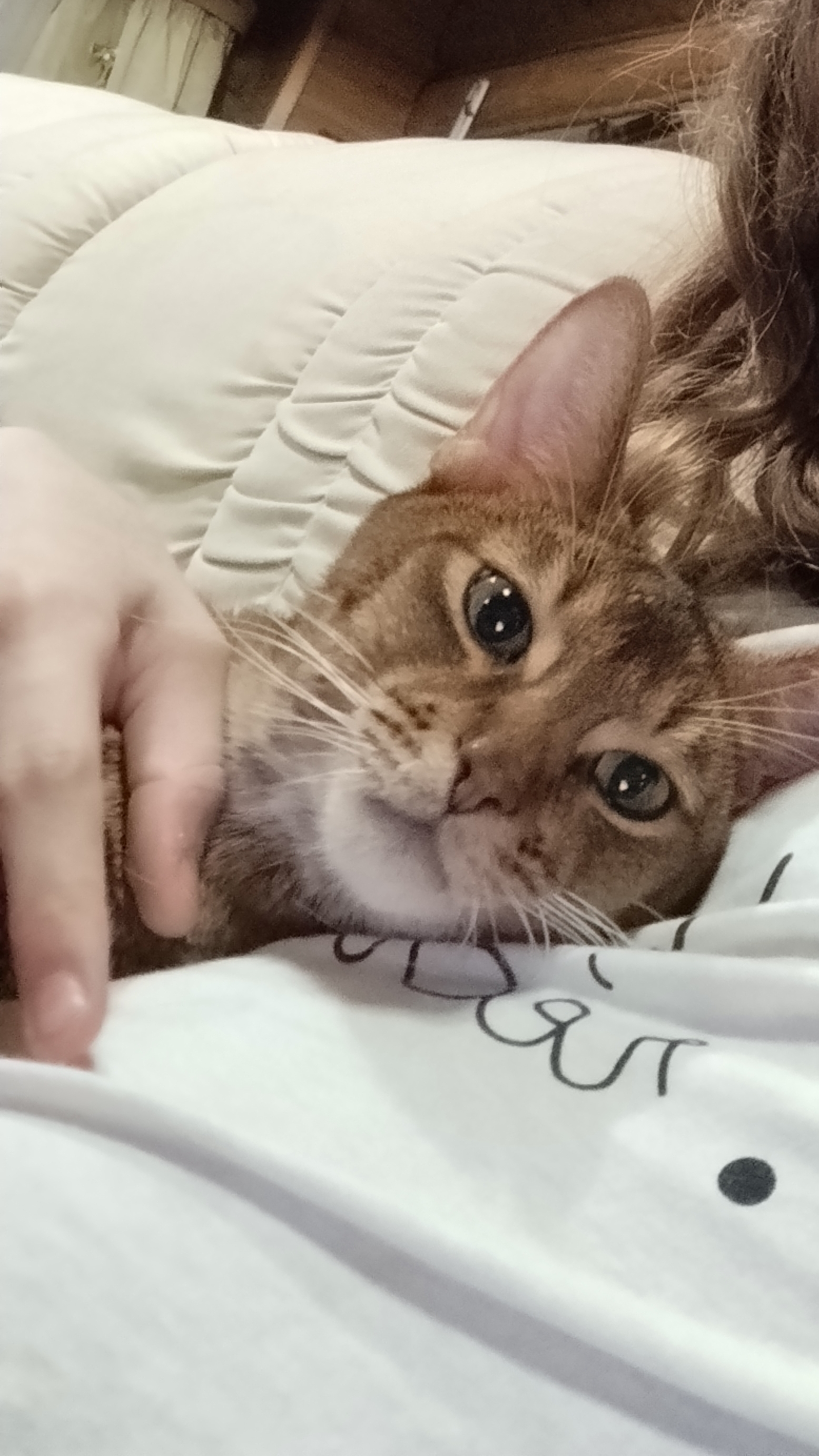 у кого есть снапчат поймут