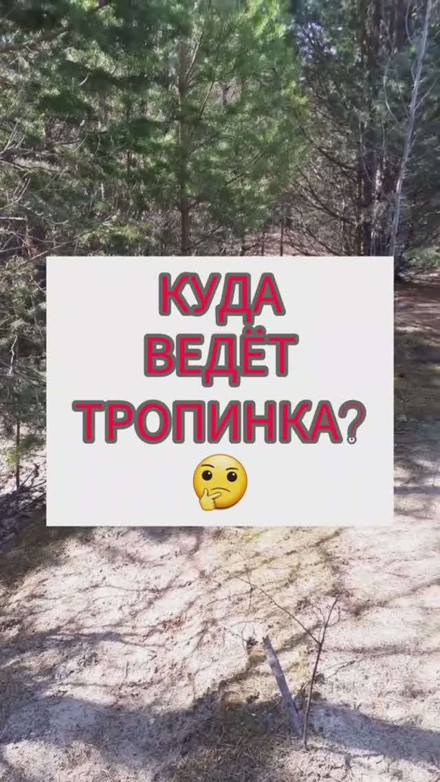 Куда ведёт тропинка