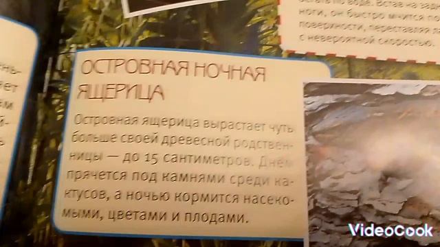 делаем уроки с Лёшой 🤓
