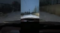 Ларгус унизил моего дракона... 😁