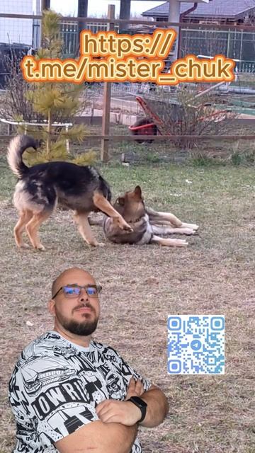 Открываю набор в школу Практики торговли на бирже.