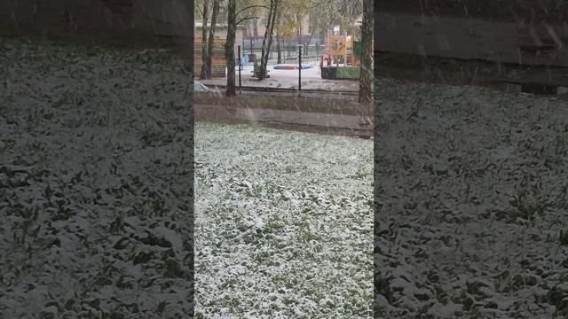 Первомайский снег в Подмосковье. С праздником, товарищи!!!