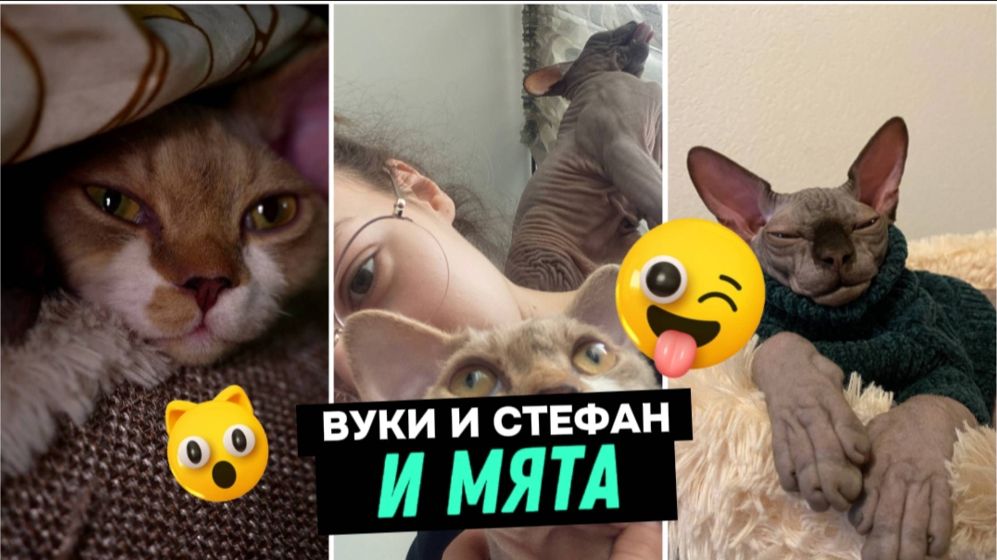 ВУКИ И СТЕФАН ПРОТИВ МЯТЫ