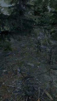 Телепорт до берега | Double Kill | DayZ Namalsk