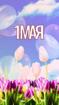 С 1 МАЯ! Открытка