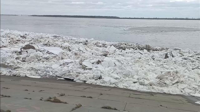 VID_20250501_154011