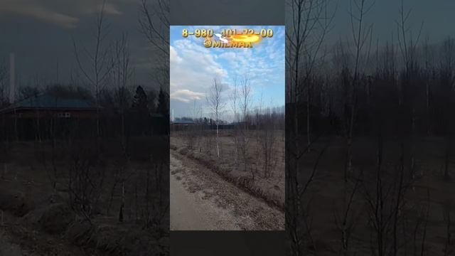 Земельный участок в коттеджном поселке ДНП "Соснинские дачи"