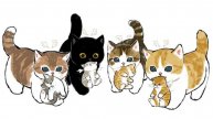 сборник котиков топ 9 котиков! 2 часть!