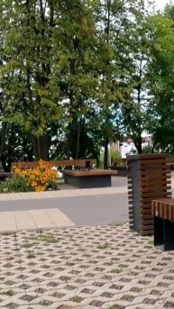 Туда и обратно г.Чебоксары || ПФО, паслен, московский комсомолец, известия, АиФ, КП, МК, амазония
