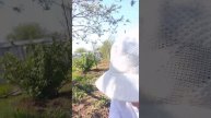 ПРИРОДА СЕМЬИ 3 ЧАСТЬ:ДАЧА