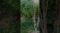 VID_20250422_184336.mp4
