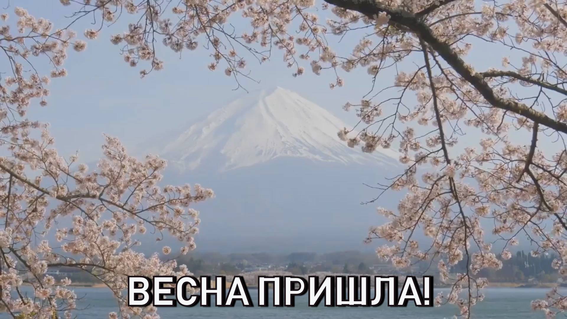 Пришла весна!