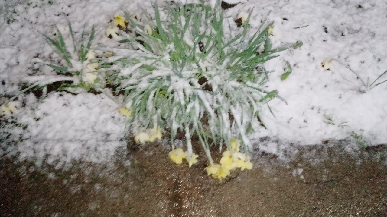 Переехали на Юг//И снова пришла зима❄⛄...