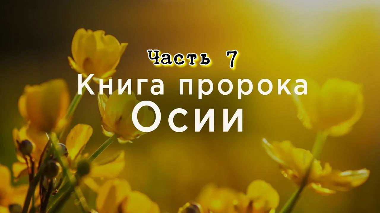 Часть 7