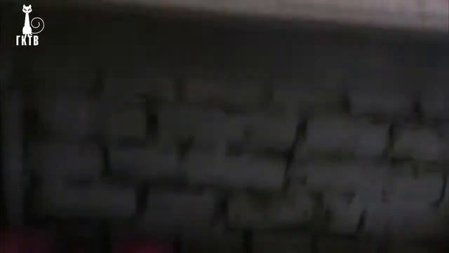 Маленькая выставка