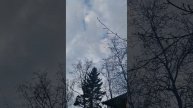 какой шашлык не надо готовить!!!