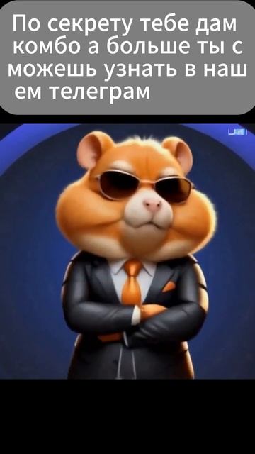 КОМБО ШИФР В HAMSTER KOMBAT #hamsterkombat #hamsterkombat