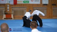 8 Aikido Gyaku Hanmi Ikkyo Ura Detail Shishiya Sensei Pilsen 2023