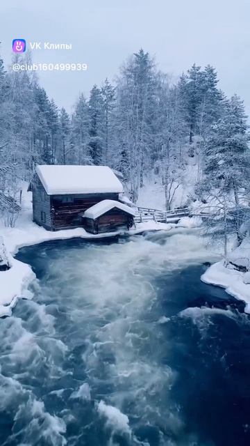 🌊❄️