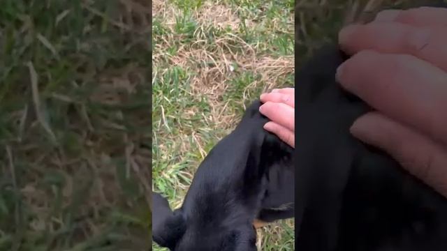 1000113640.mp4