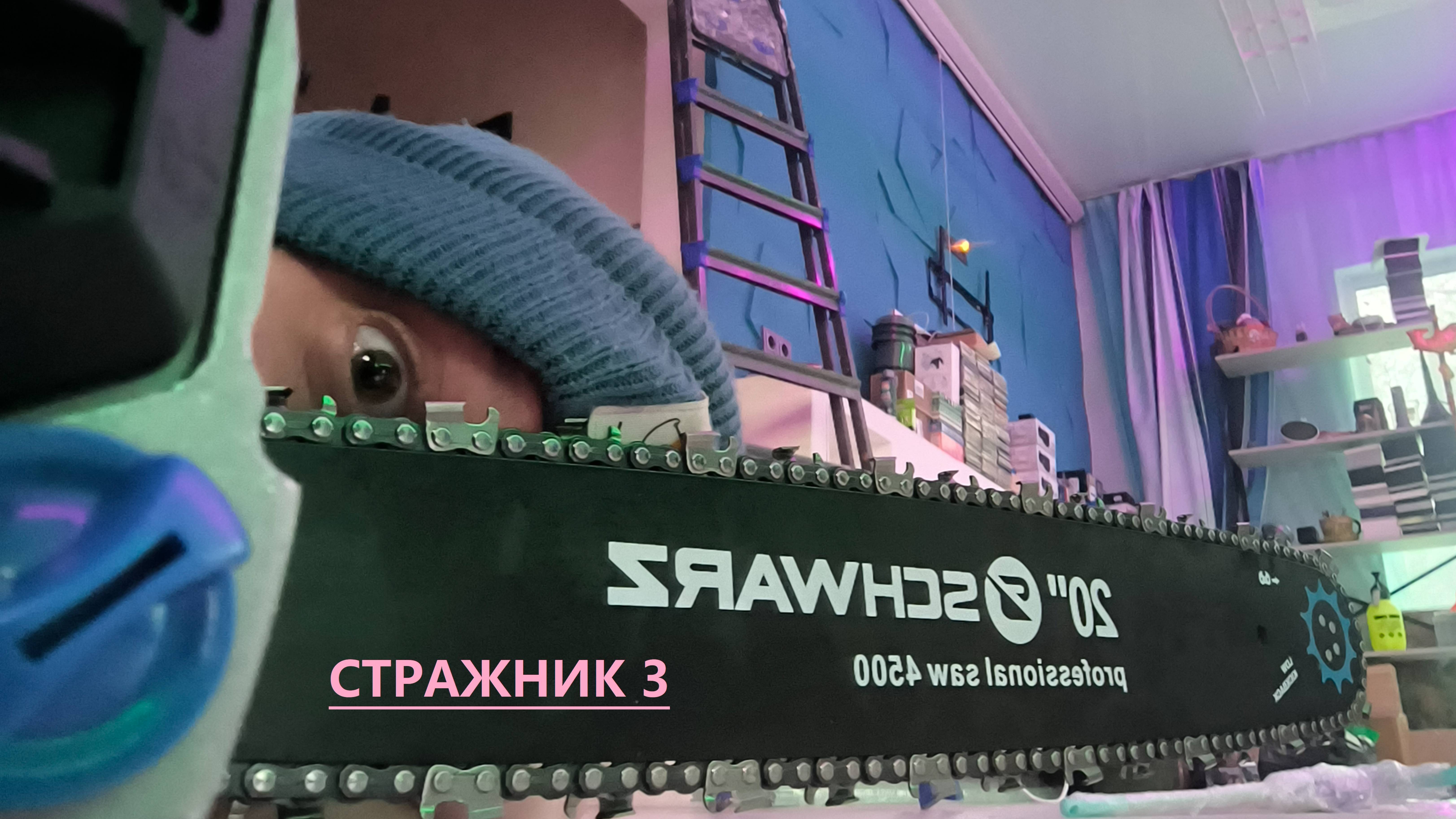 СТРАЖНИК 3