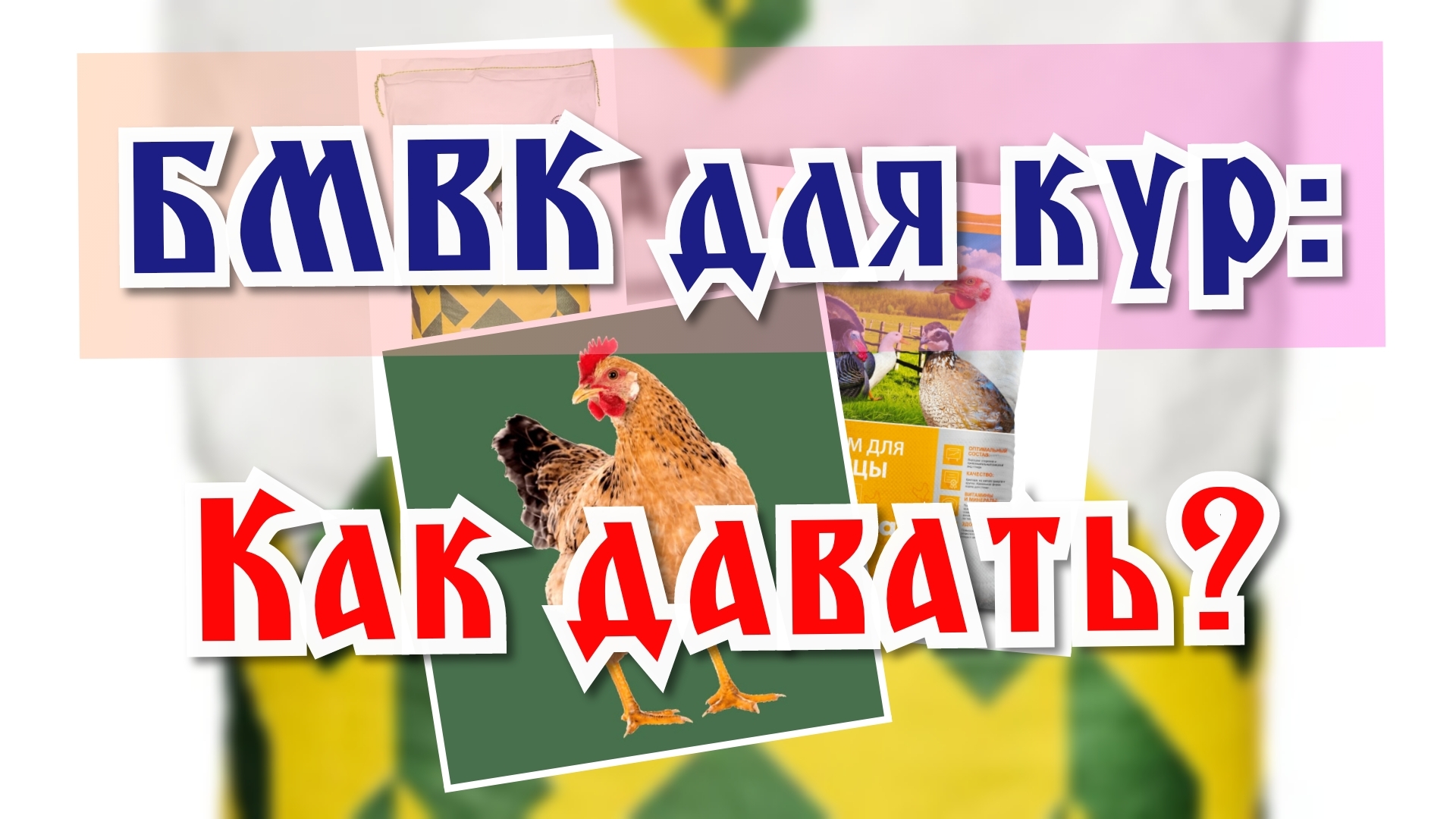 Как правильно давать БМВК курам?